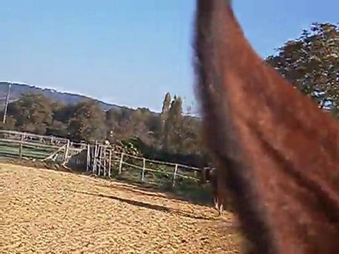 prince en rene allemandes