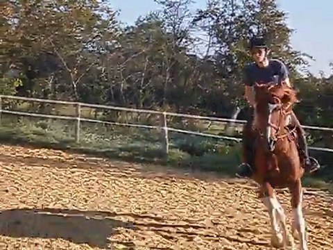 prince en rene allemandes