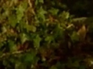 TEASER 3 - LES SACS POUBELLES