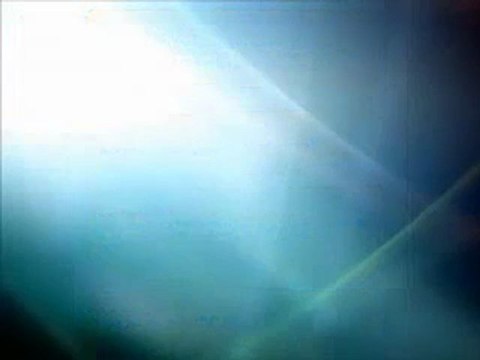 Horse Betting Software and Racing systems