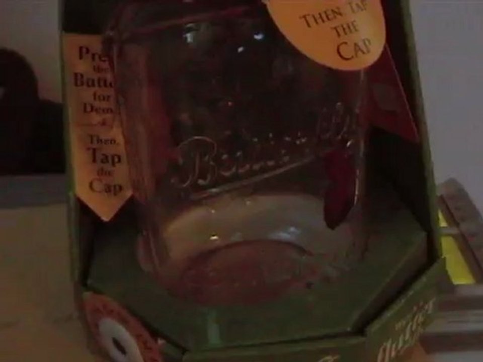 Papillon dans un bocal