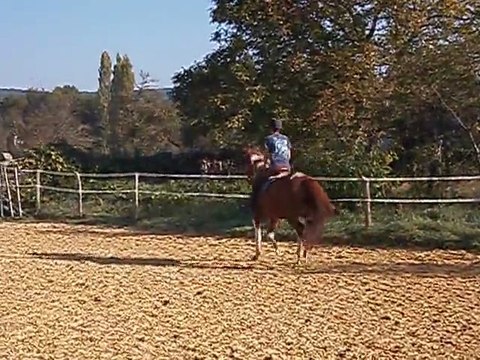 prince en rene allemandes