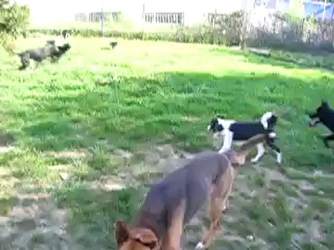 Jeu dans un des parcs de détente (avril 2010)