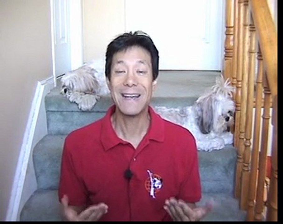 Easy Way To Use Dog Poop Bags Or Dog Waste Bag