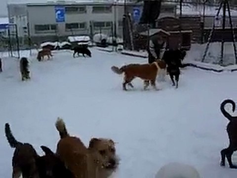 Le refuge sous la neige (décembre 2009)