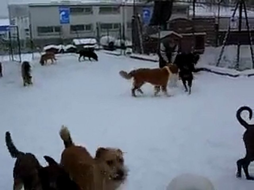 Le refuge sous la neige (décembre 2009)