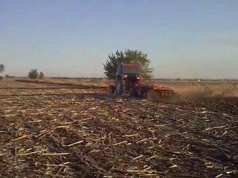 özdöken 20 li goble - başak 2073sh