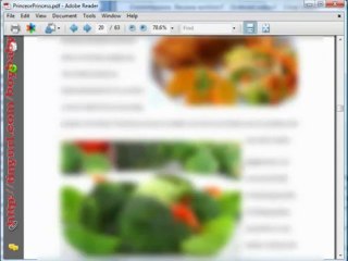 How To Conceive A Boy