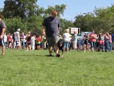 Off Leash Dog Obedience Training German Shepherd