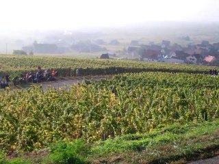 Rallye de France 2011 - Mads Ostberg