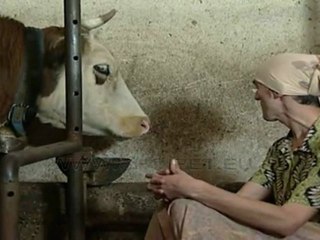 Perralla me Tupan Humor