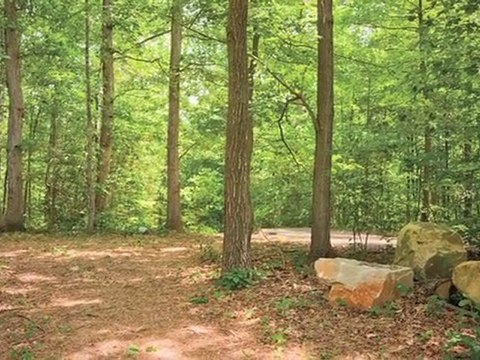 Springwoods at Lake Ridge