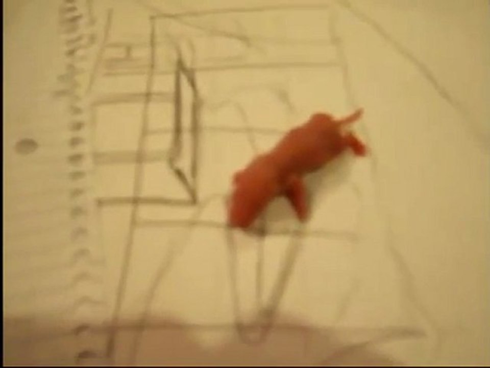 Andy mange un bébé souris vivant et est condamné