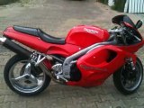 Triumph Daytona 955i Brest