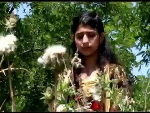 MEHMET ALİ ARSLAN Grup @ kürtçe müzikler müzik