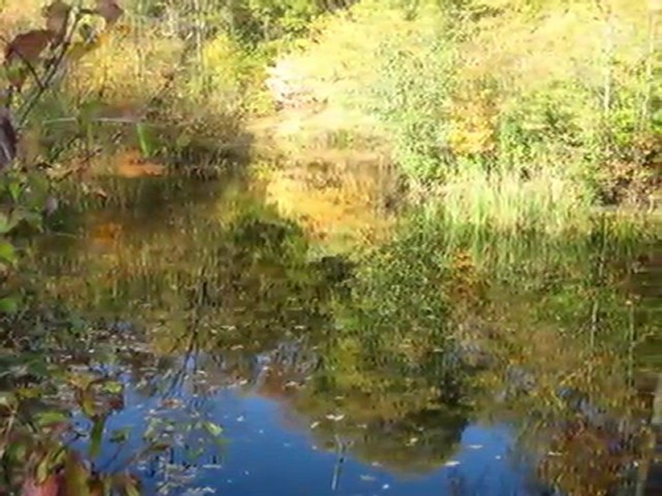 ZARA Beni Unutma gokkusagifm.net