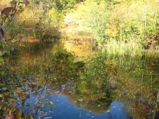 ZARA Beni Unutma gokkusagifm.net