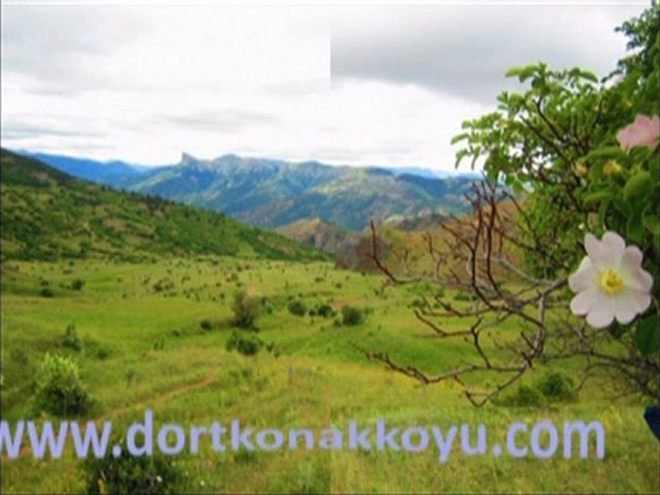 Dörtkonak Yaylası