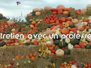 Reportage terres à l'envers