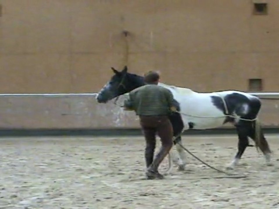 ces humains ont de ces idées..