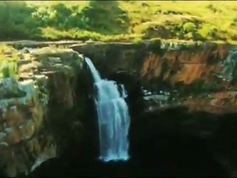 LES PREDATEURS de la SAVANE