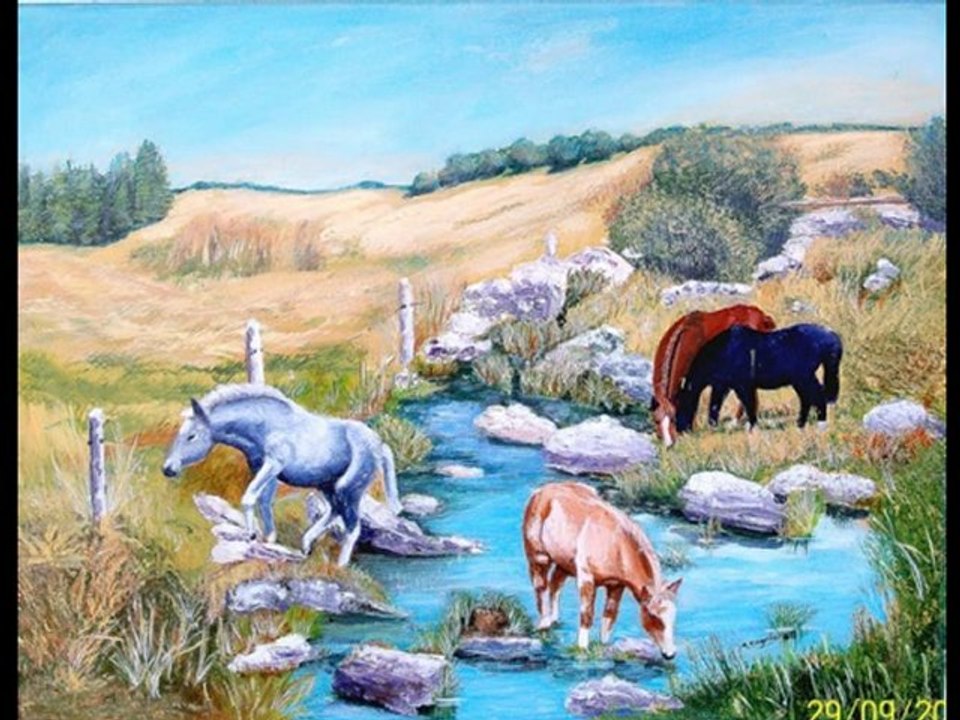 Mon premier film  exposition ambilly 2011 (2)