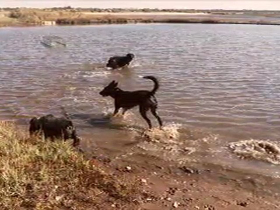 Balade sur le bassin d'arcachon en avril 2010