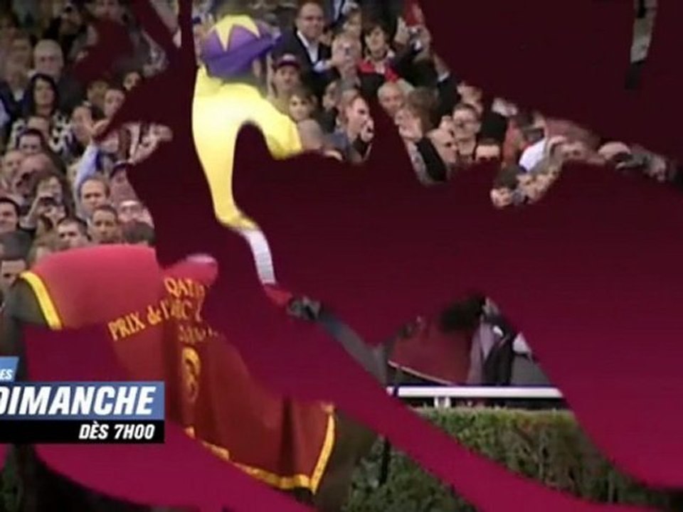 Journée Arc - Equidia