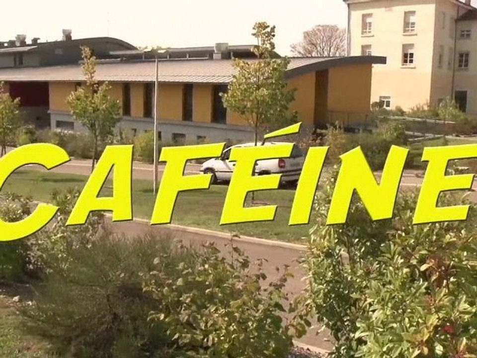 Caféine