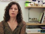 Misconceptions About Losing Weight