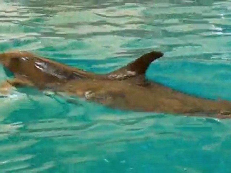 aqua reklam