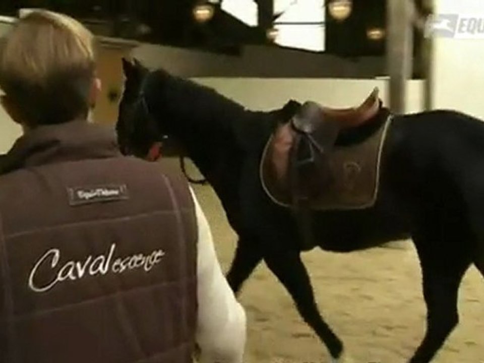 Cavalescence - Equidia