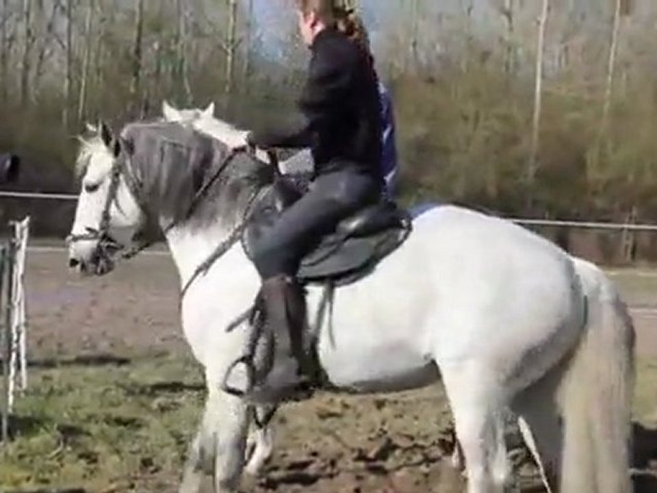 Excalibur : des cascades signées Mario Luraschi 3/3 - Equidia