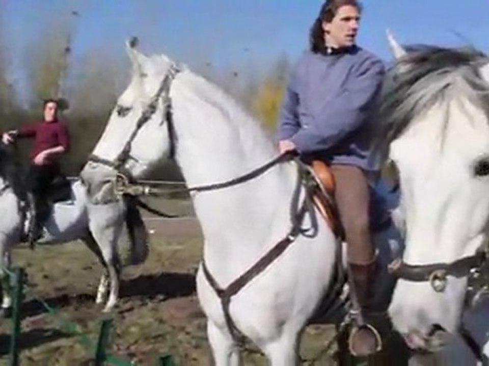 Excalibur : des cascades signées Mario Luraschi 2/3 - Equidia