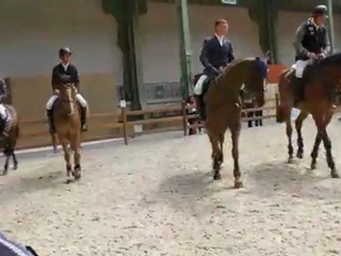 Coulisses de la carrière d'échauffement - Saut Hermès - Equidia