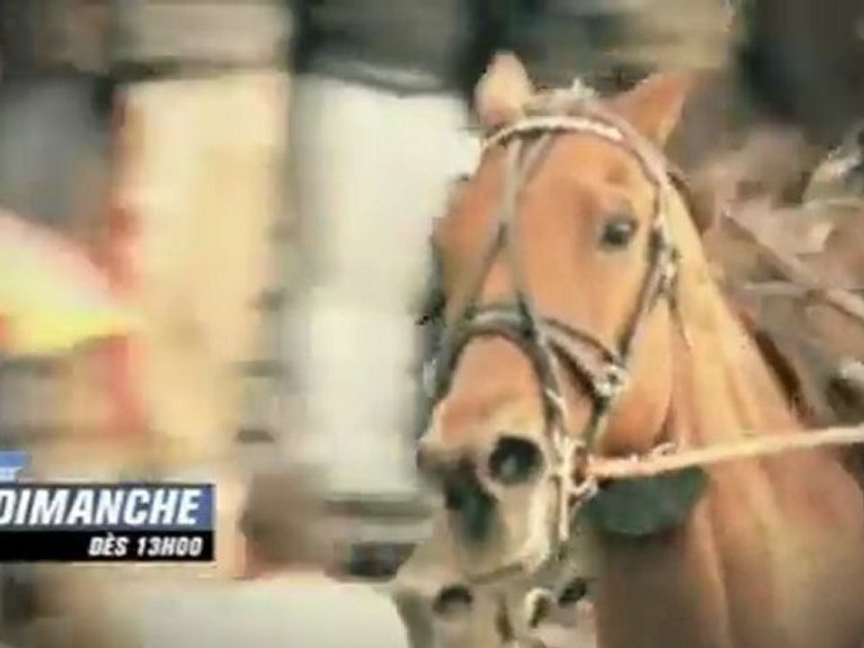 BA Elitloppet - Equidia