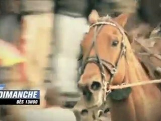 BA Elitloppet - Equidia