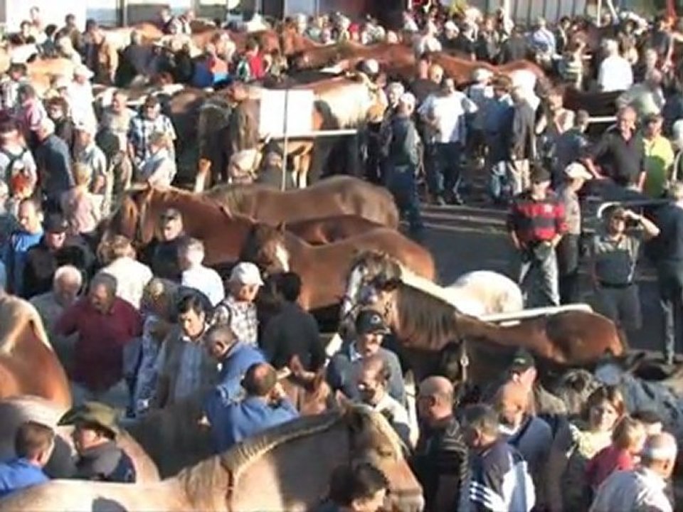 La Foire aux Poulains 2011  de Plaintel