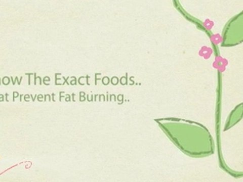 What Foods Are Best To Eat To Lose Weight - Free Diet Video