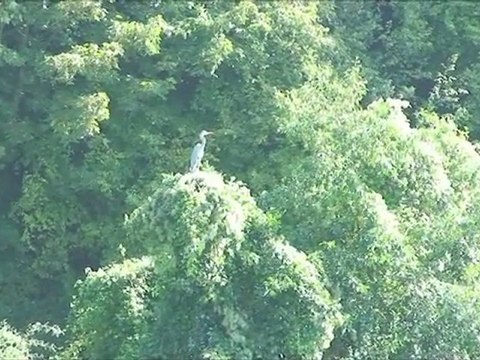 Le prix Natureparif du concours capitale de la biodiversité