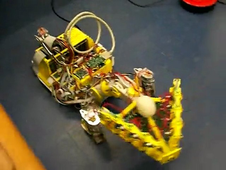 Scratchbot, robot se repérant à l'aide de ses moustaches du Bristol robotics laboratory