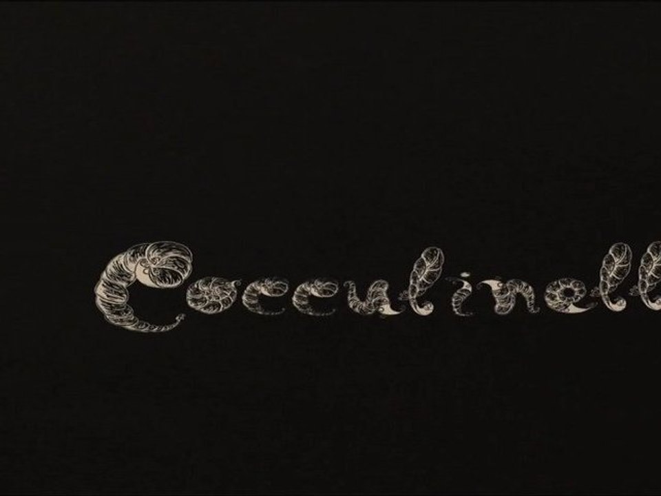 Making of (2) de Cocculinellidae