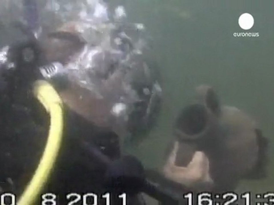 Putin diving stunt was staged