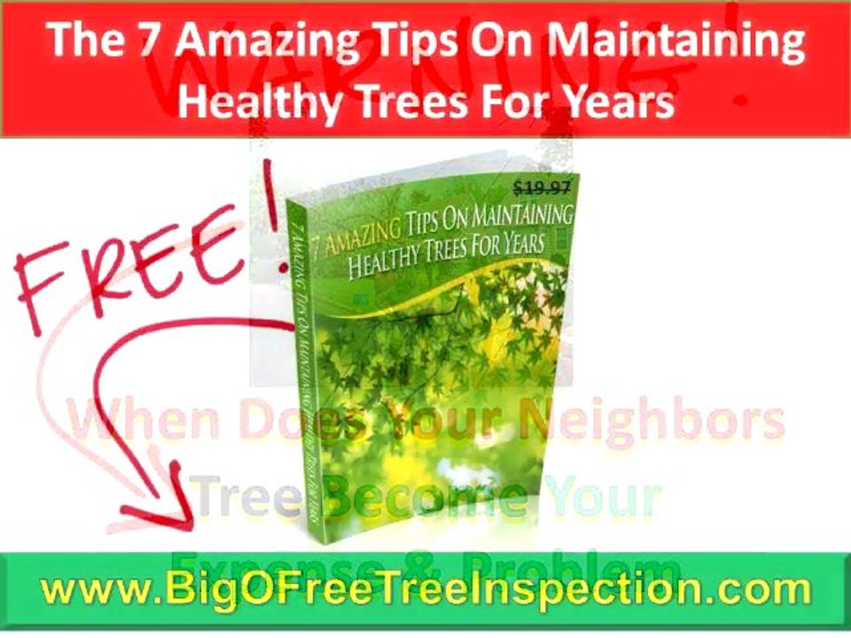 Charlottesville Tree Spray|FREE Tree Hazard Inspection