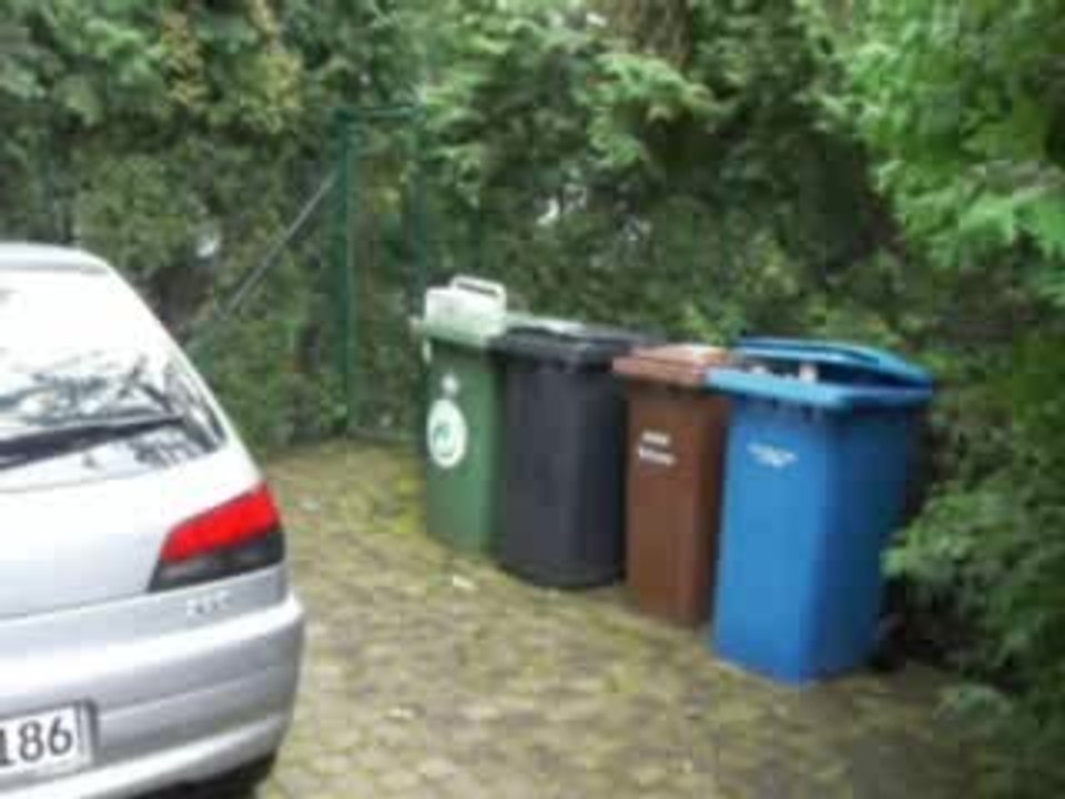 Julius in der Mülltonne