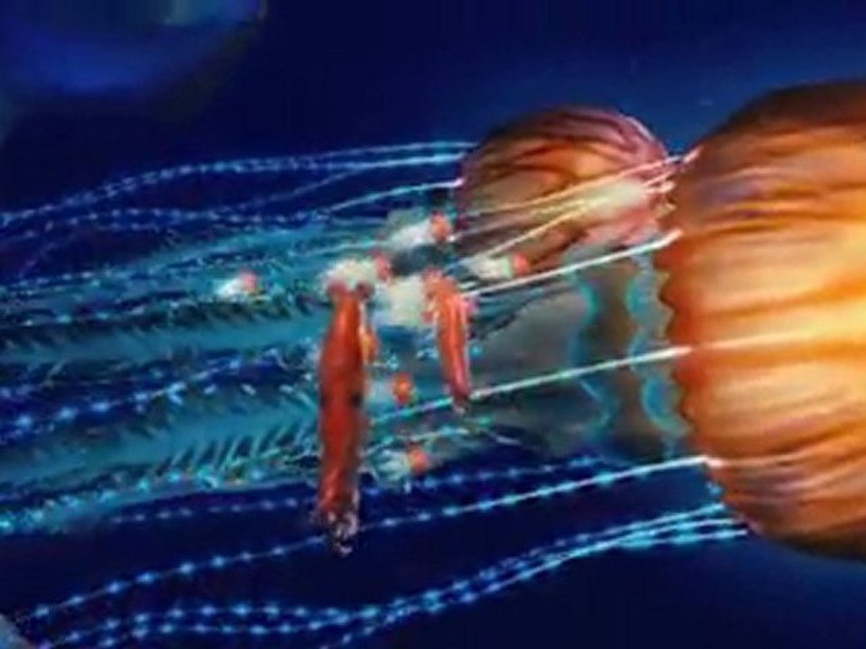 Happy Feet 2 - Bande Annonce F4 - VO