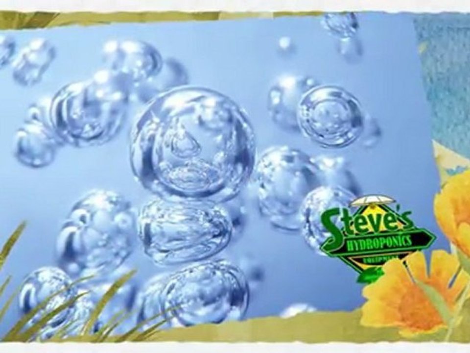 What is a Flood and Drain System? | Halifax Hydroponics