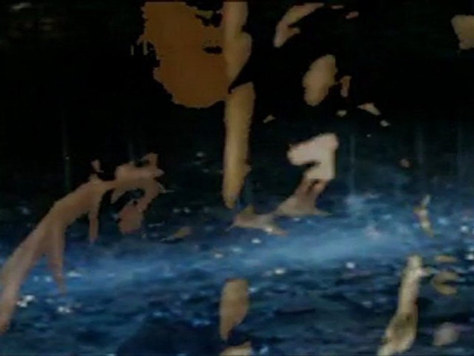 Tribunes can have a lot of fun