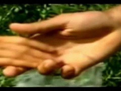 HALİT BİLGİÇ cano türkçe müzikler @ MEHMET ALİ ARSLAN Grup