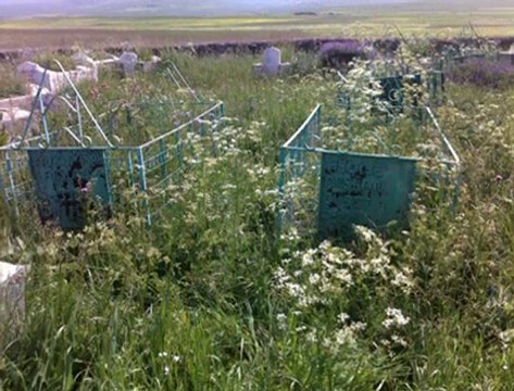 ardahan bayramoğlu köyü kora köyü mehmetaliarslan köyü